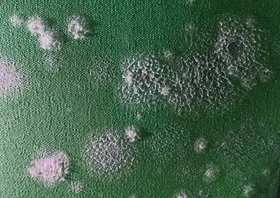 טיפול בעובש ביצירות אמנות