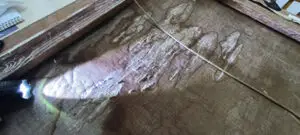 פגיעות מים בציור