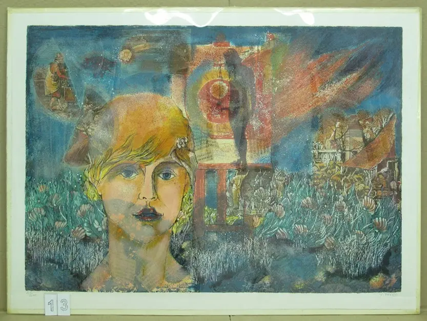 יהודה פלד, הדפס משי