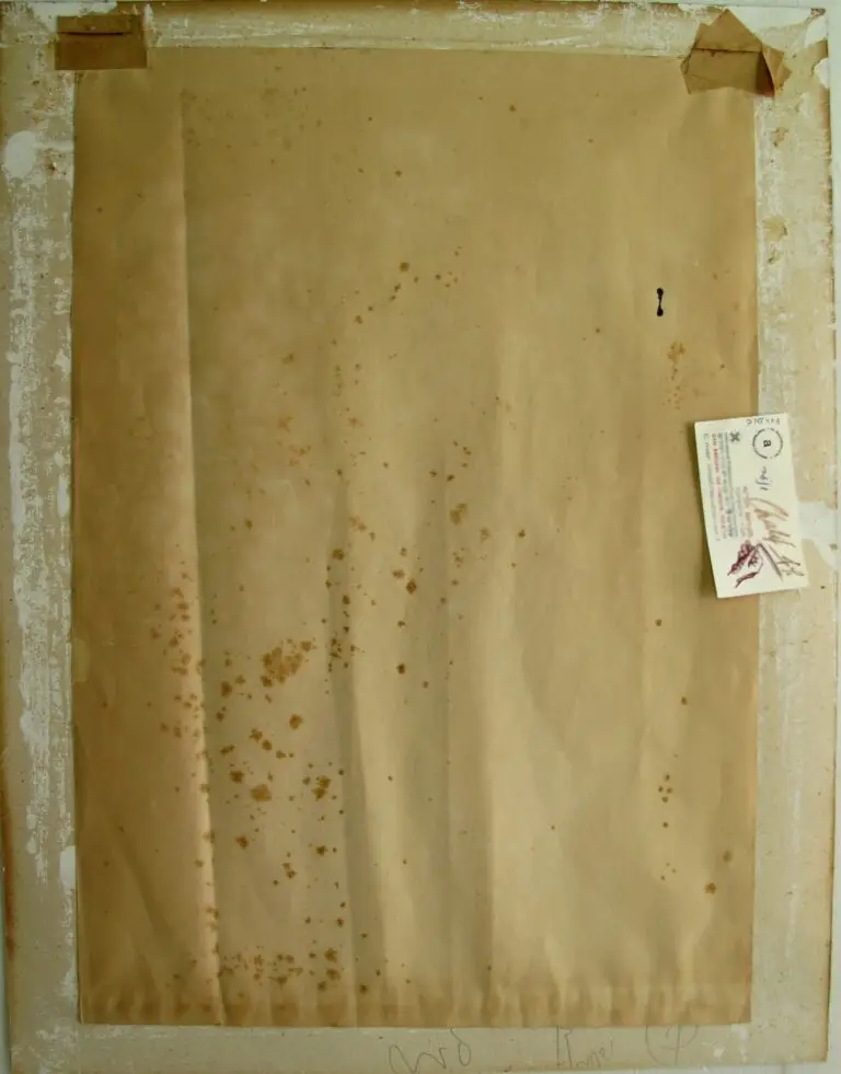 רסטורציה וקונסרבציה של רישום דיו